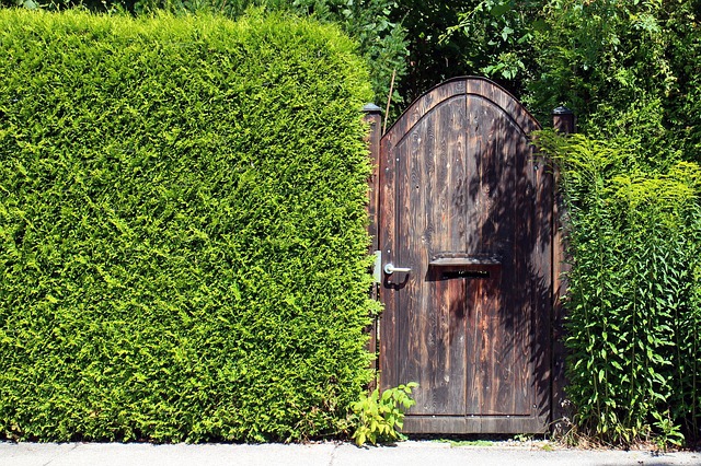 Chcete mít na své zahradě klid a soukromí? Obežeňte ji zelenou zdí!