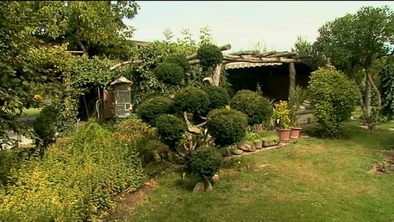 Zvědavá kamera: Tolik nápadů na jediné zahradě? To musíte vidět!
