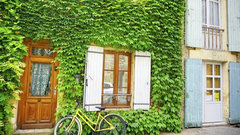 Výhody a nevýhody „zelené fasády“ na domě