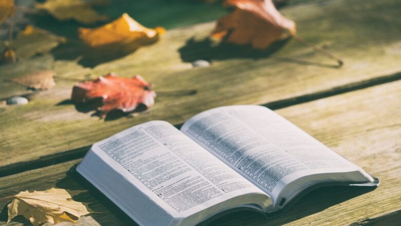 Tipy na podzimní čtení